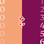 A dozen final roses: ‘The Bachelor’ by the numbers