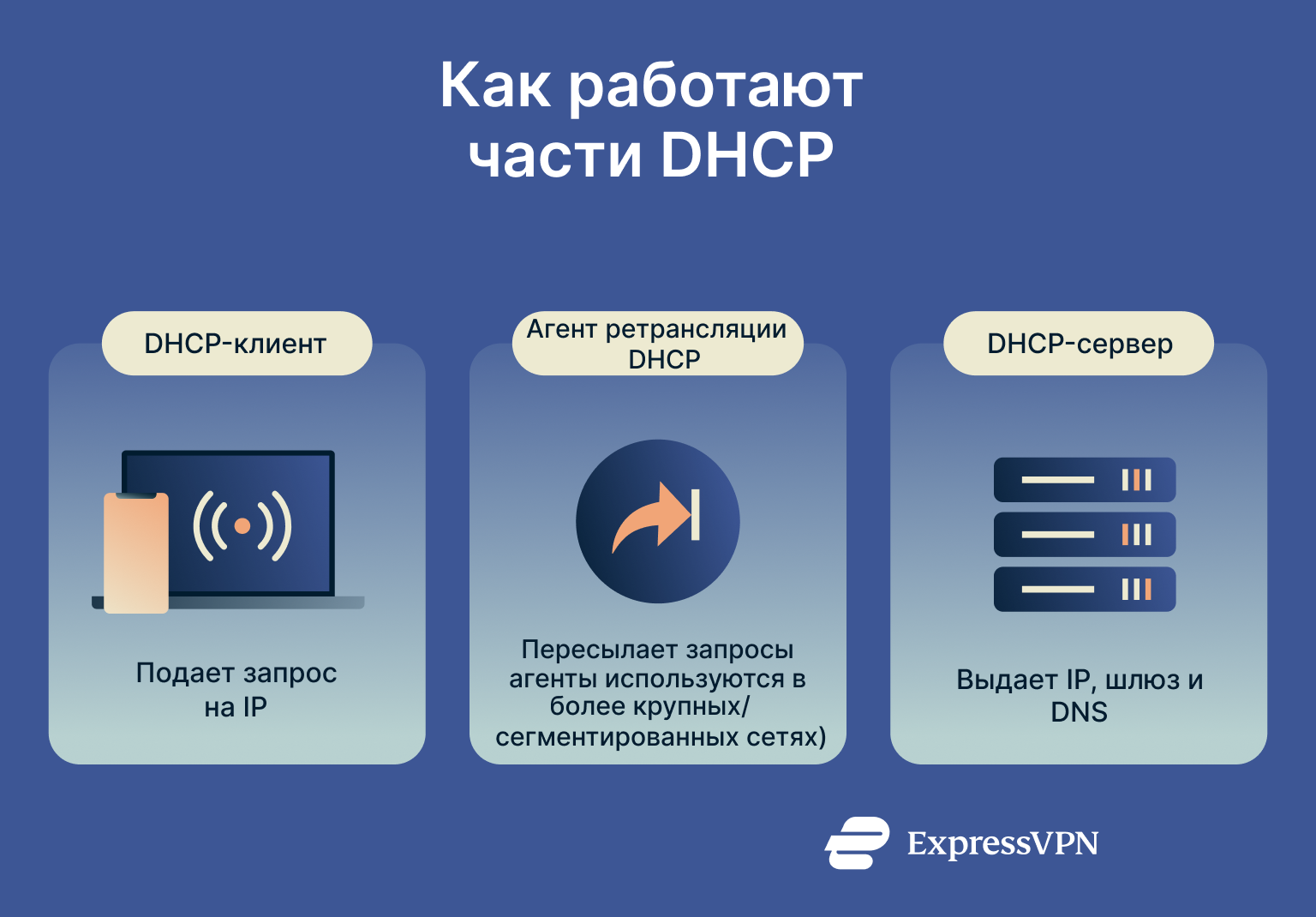 Infographic showing how DHCP components work.