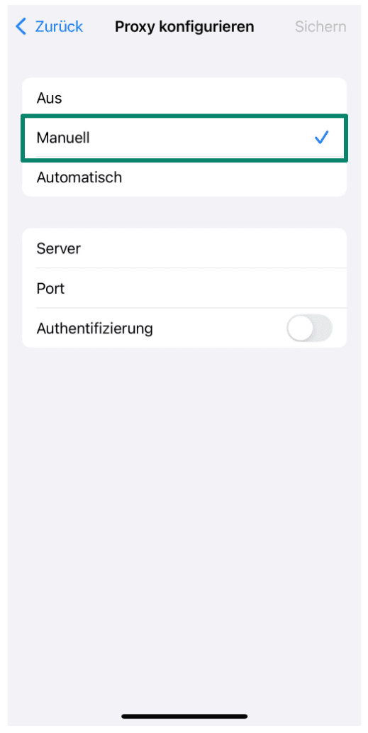 Ip Address.10 Scaled De