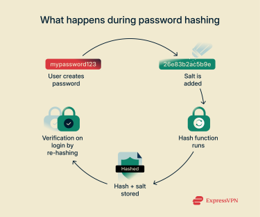 Infographic showng what happens during password hashing.
