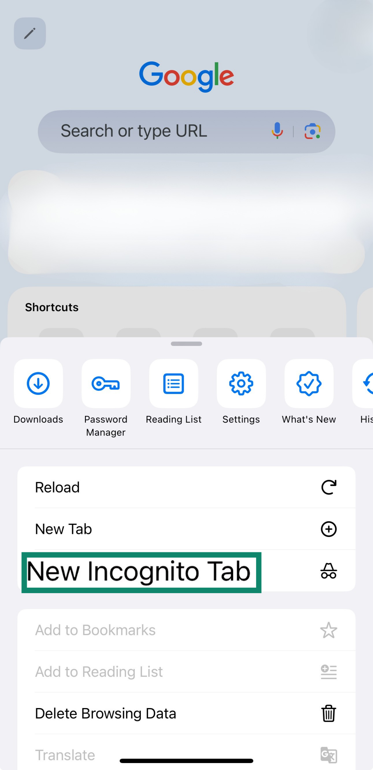 The New Incognito Tab of iOS Google Chrome.