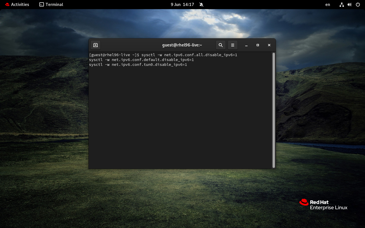 Linux Red Hat distro with the Terminal open and the commands to disable IPv6 typed into it.