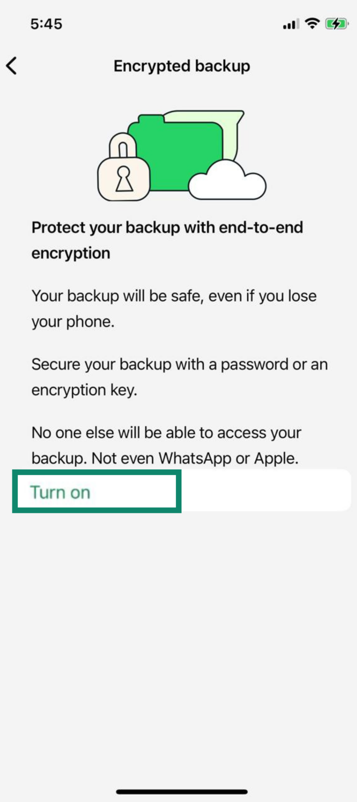 Encrypted backup screen on iPhone showing Turn on option for end-to-end encryption