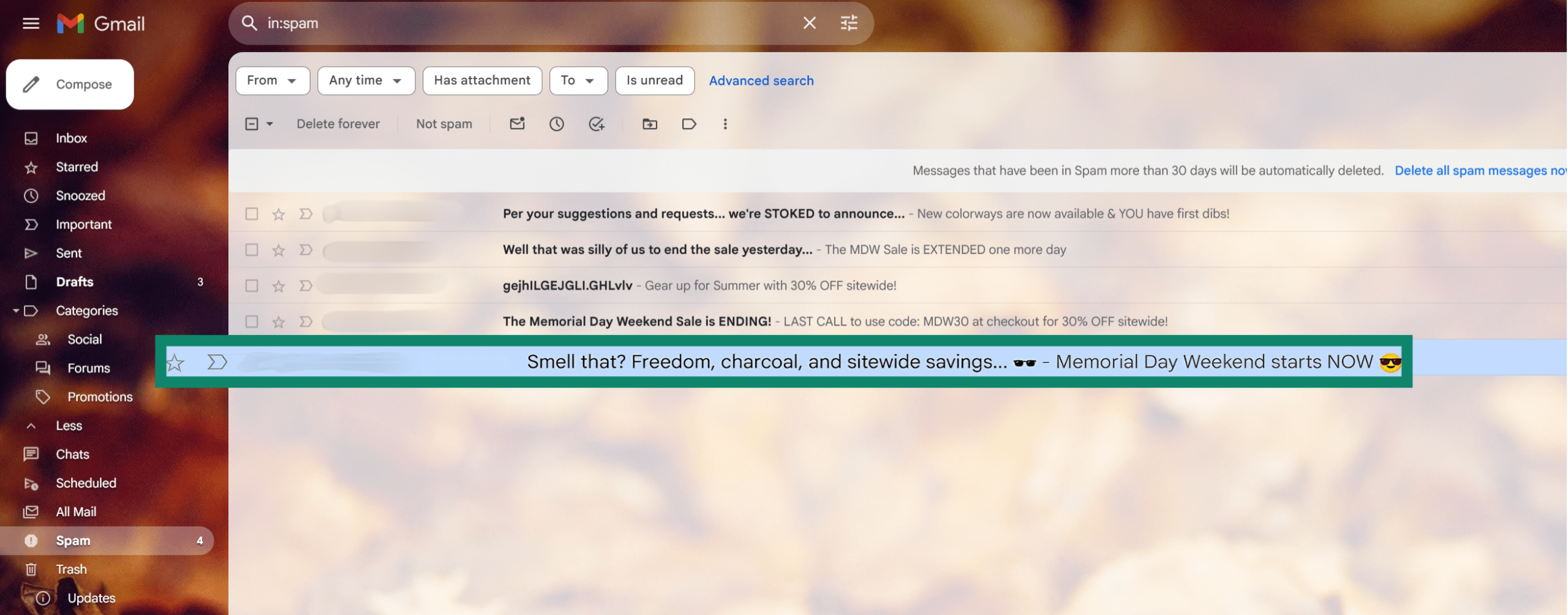 Gmail spam folder with a highlighted email.