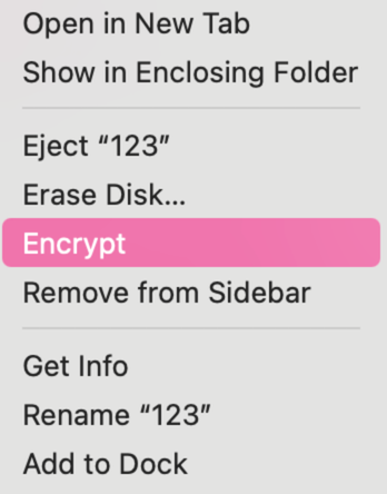 Right-click menu for a USB flash drive in Disk Utility with the Encrypt option highlighted.