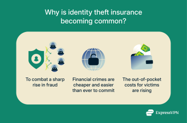 A brief explanation of why ID theft insurance is common.