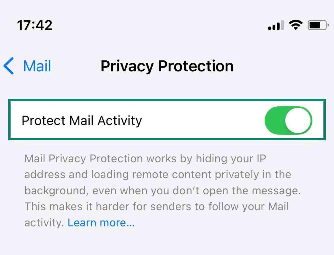 The Privacy Protection settings page on an iPhone, with the Protect Mail Activity button highlighted.
