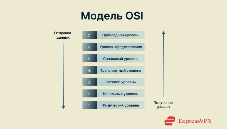 Network Protocols The Osi Model Ru