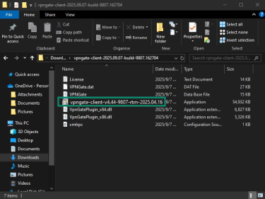 Download folder containing VPN Gate Client files with the installer highlighted.