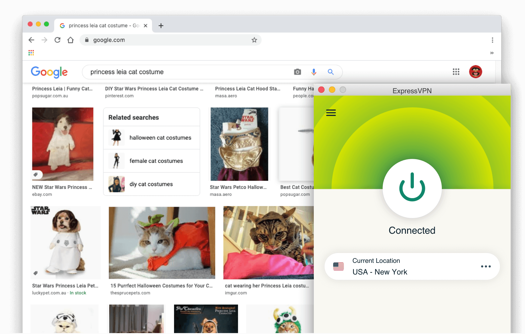 Resultados de la búsqueda en Google: Disfraz de gato de la princesa Leia con ExpressVPN activado.