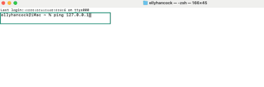 How to ping a loopback address via the Terminal on macOS.