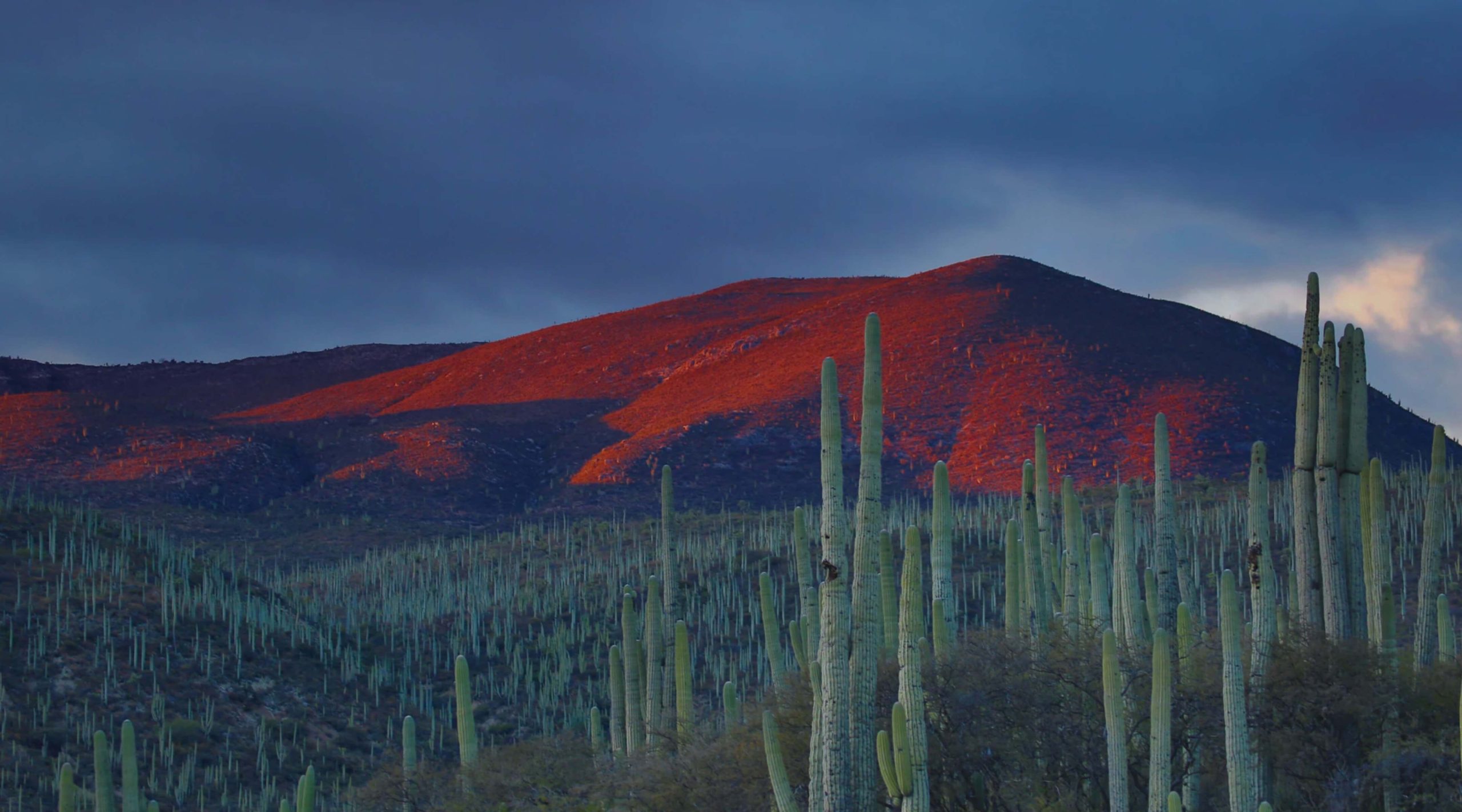 Descargue la mejor VPN para México en 2025
