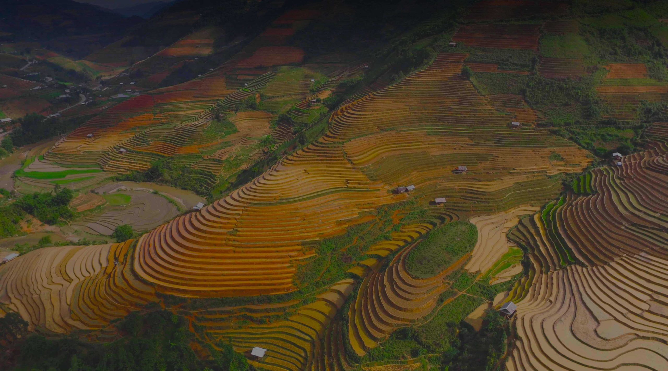 Bedste VPN-tjeneste til Vietnam