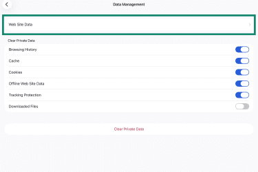Web Site Data in Data Management on Firefox for iPad.