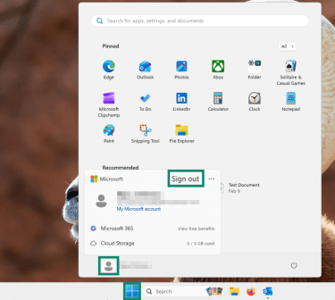 "Sign out" button highlighted on Windows 11.