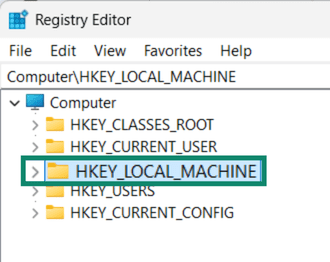 Windows registry window showing HKEY_LOCAL_MACHINE.