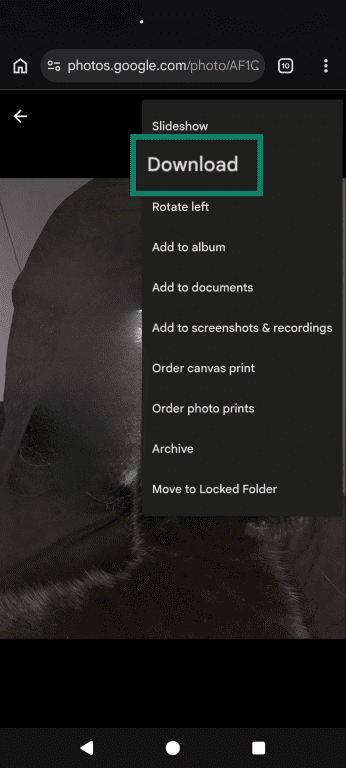 A Google Photos image, highlighting the Download option.