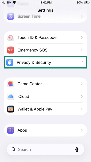 iPhone settings menu with Privacy & Security highlighted.