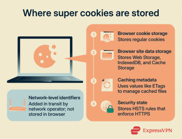 The different layers of the web where super cookies are stored.