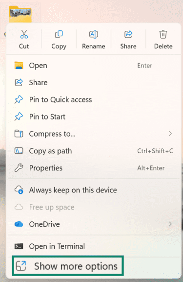 The file menu window is open on Windows 11, and Show more options is highlighted.